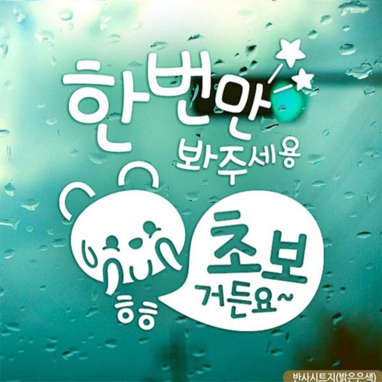 자동차스티커 한번만봐주세용 초보곰 초보운전 반사 임산부운전스티커 안전운전스티커 고령운전자스티커
