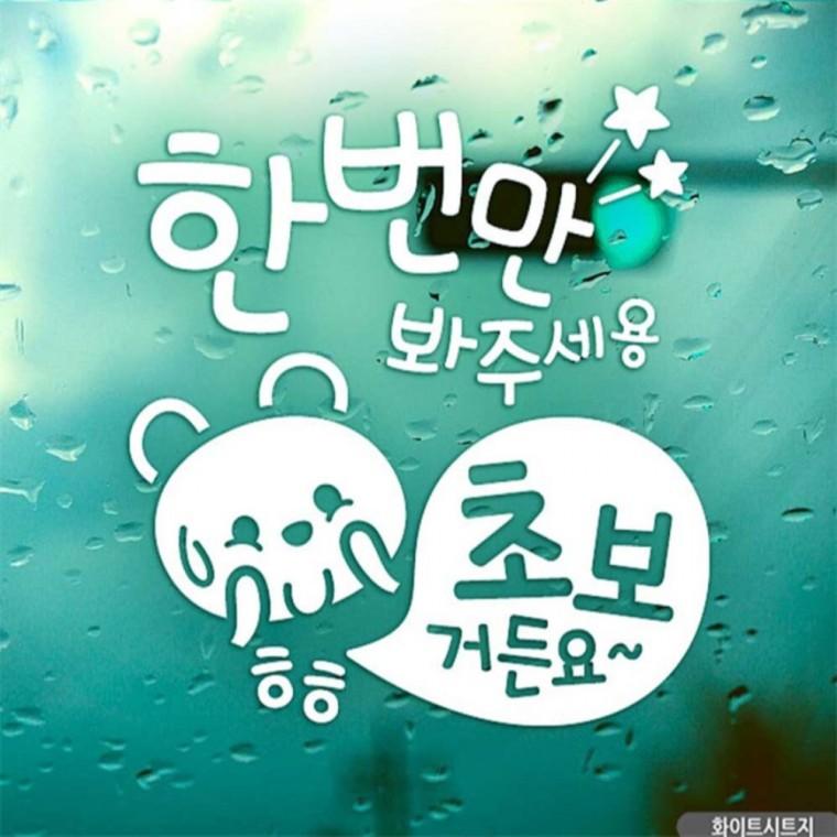 자동차스티커 한번만봐주세용 초보곰 초보운전 화이트 부모님운전스티커 안전운전스티커 차량스티커