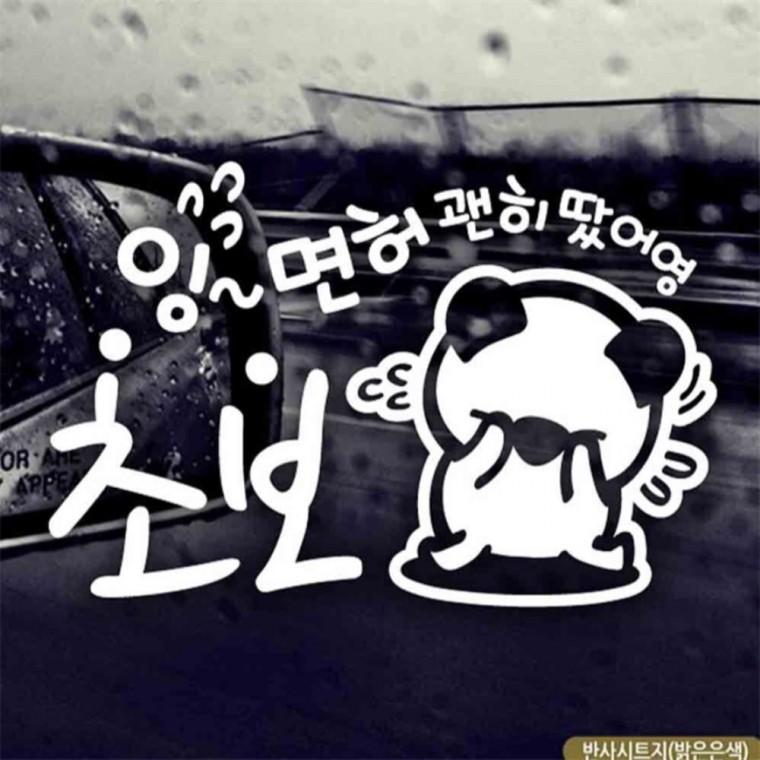 자동차스티커 면허괜히땄어영 초보 고미 반사시트지 고령운전자스티커 꾸미기데코스티커 안전거리스티커