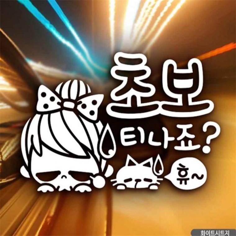 자동차스티커 초보티나죠 휴 초보운전 화이트시트지 안전운전스티커 부모님운전스티커 차량스티커