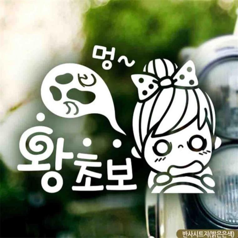 자동차스티커 멍 왕초보 반사시트지 차량스티커 고령운전자스티커 양보운전스티커