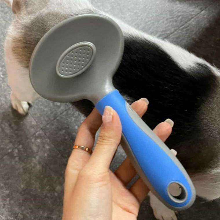 고양이 슬리커브러쉬 블루 펫브러쉬 애견미용용품