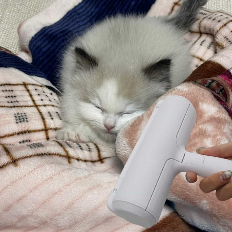 고양이털 돌돌이 먼지돌돌이 롤클리너