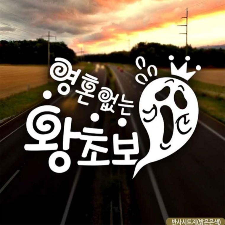 자동차스티커 영혼없는왕초보 초보운전 반사시트지 안전운전스티커 차량스티커 안전거리스티커