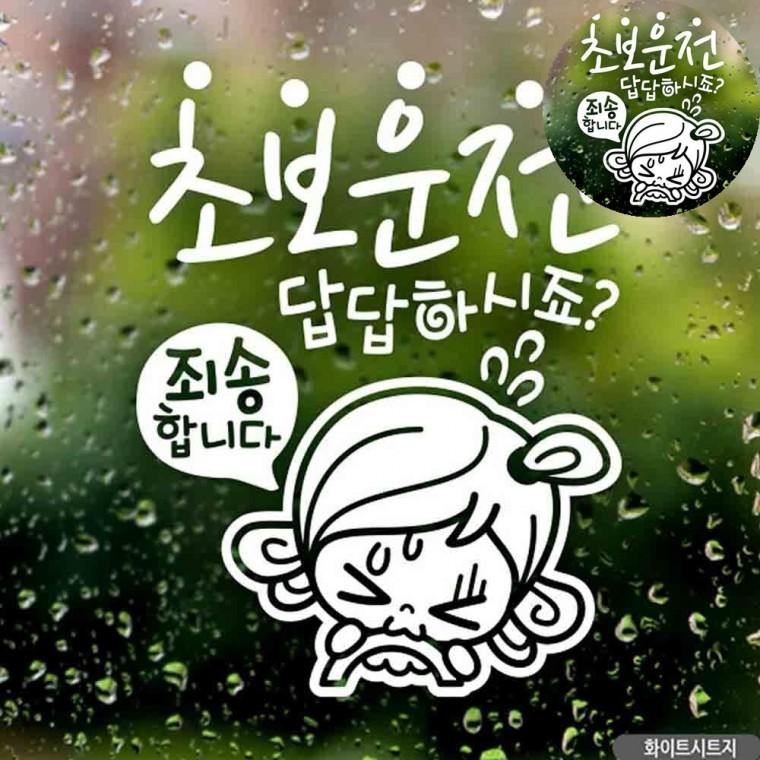 자동차스티커 카스티커 차량용시트지 초보운전스티커