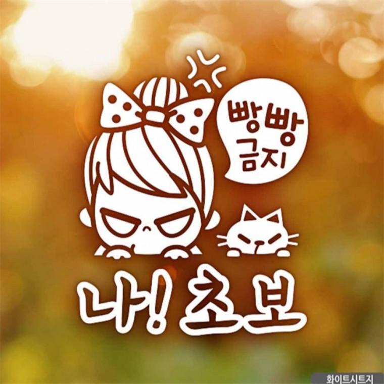 자동차스티커 빵빵금지 나초보 초보운전 화이트시트지 부모님운전스티커 꾸미기데코스티커 안전운전스티커