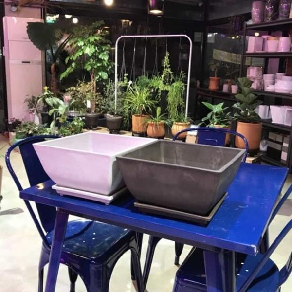 수지 30x30x15 화분 플라스틱화분 사각화분