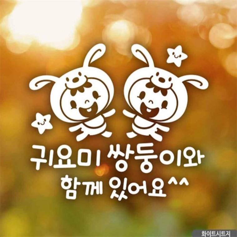 자동차스티커 귀요미쌍둥이와함께있어요 화이트시트지 부모님운전스티커 안전운전스티커 초보운전스티커