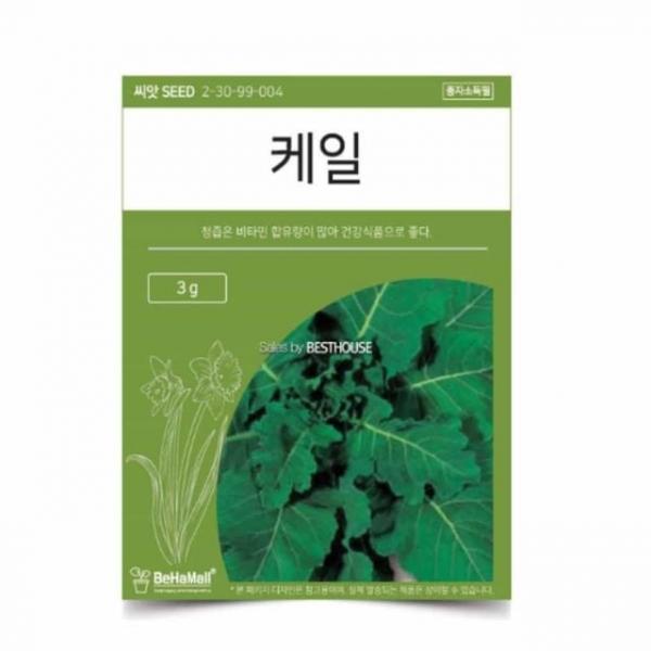 텃밭 채소 씨앗 케일 케일키우기 텃밭씨앗