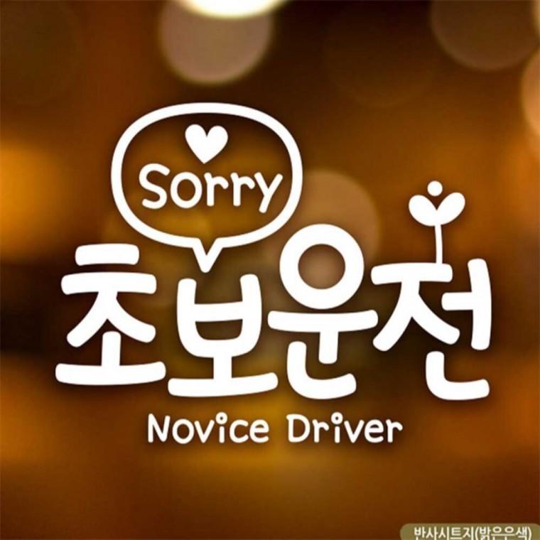 자동차스티커 Sorry 초보운전 반사시트지 양보운전스티커 꾸미기데코스티커 임산부운전스티커