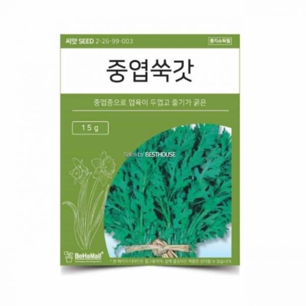 텃밭 채소 씨앗 쑥갓 씨앗선물 식물기르기