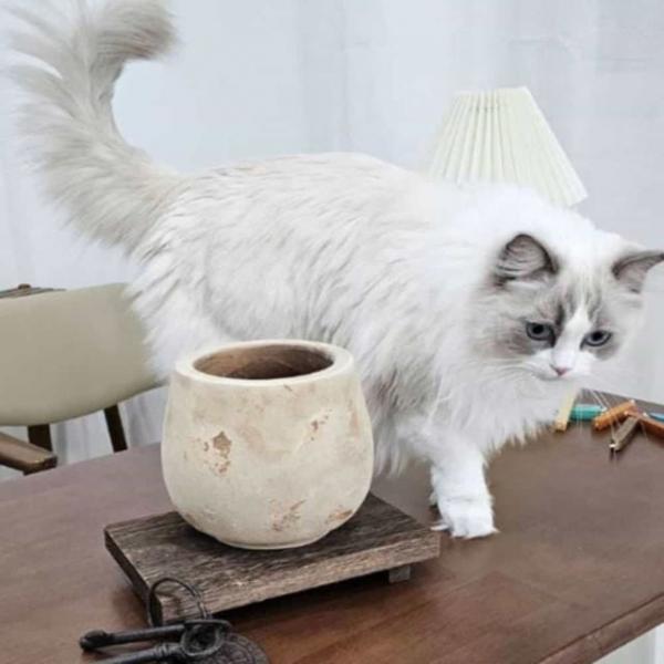 베트남 빈티지 미니 화분 엔틱화분 선인장화분
