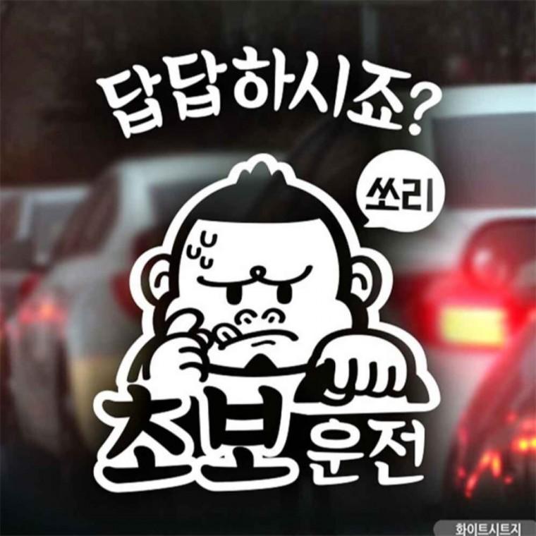 자동차스티커 초보답답 싸나이 초보운전 화이트시트지 양보운전스티커 임산부운전스티커 초보운전스티커