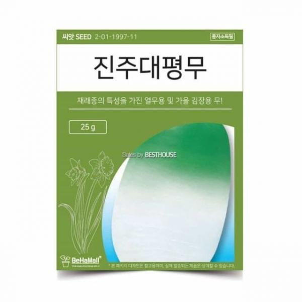 텃밭 채소 씨앗 무 씨앗선물 씨앗기르기