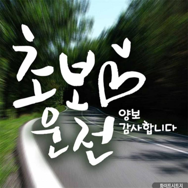자동차스티커 하트초보운전 캘리화이트 화이트시트지 초보운전스티커 꾸미기데코스티커 차량스티커