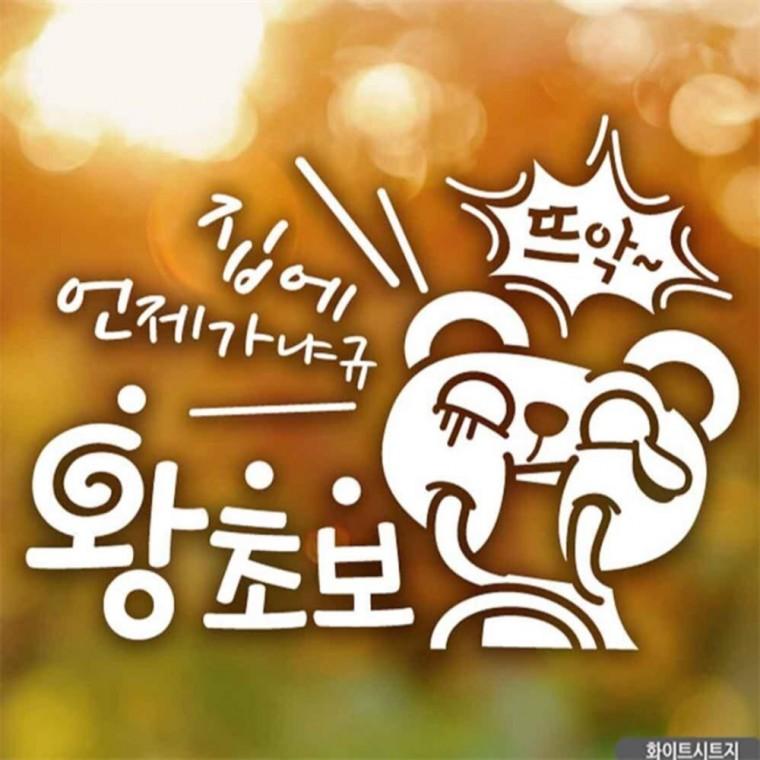 자동차스티커 언제가냐규 왕초보곰 화이트시트지 초보운전스티커 고령운전자스티커 안전거리스티커