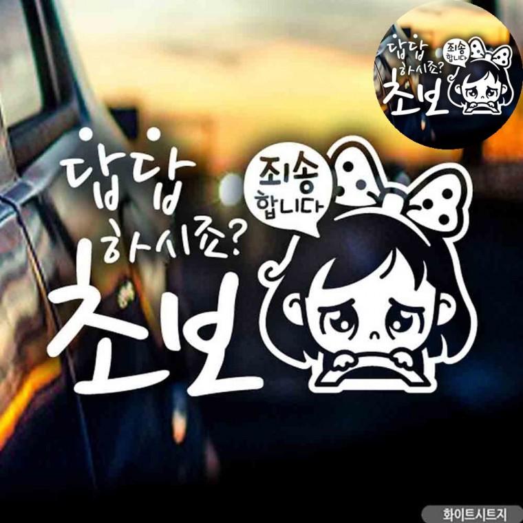 자동차스티커 차량용초보운전스티커 차량용품 자동차인테리어용품