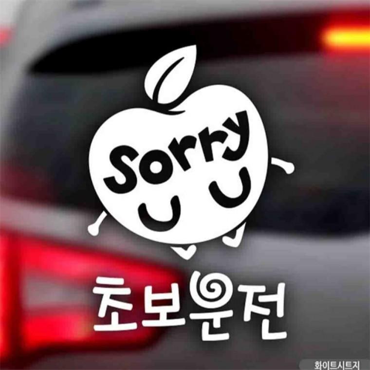 자동차스티커 사과sorry 초보운전 화이트시트지 안전거리스티커 양보운전스티커 고령운전자스티커