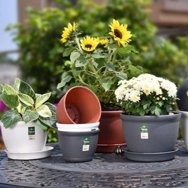 화분 미분 20x14cm 플라스틱원형화분 실내화분