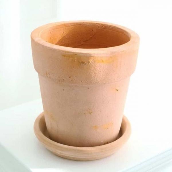 토분 16x17cm 예쁜토분 선인장화분