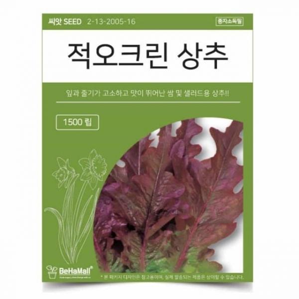 텃밭 채소 씨앗 상추 실내텃밭 가드닝용품
