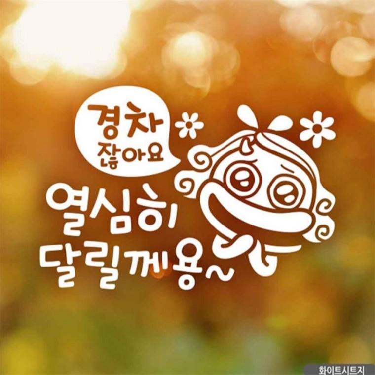 자동차스티커 경차잖아요열심히달릴께용 화이트시트지 초보운전스티커 고령운전자스티커 안전운전스티커