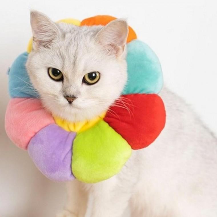 고양이 넥카라 목보호대 깔대기형 긁음방지 목쿠션 고양이목보호대 고양이악세사리 고양이목쿠션