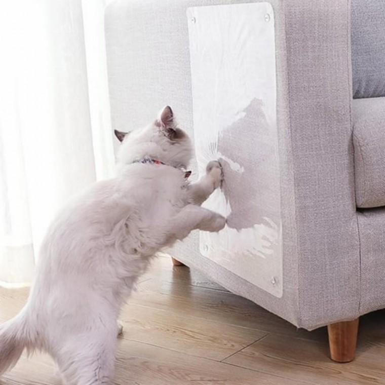 고양이 스크래치 방지 소파 벽 보호패드 내구성 강한 스크래칭 가드 보호필름지 벽보호패드 소파패드