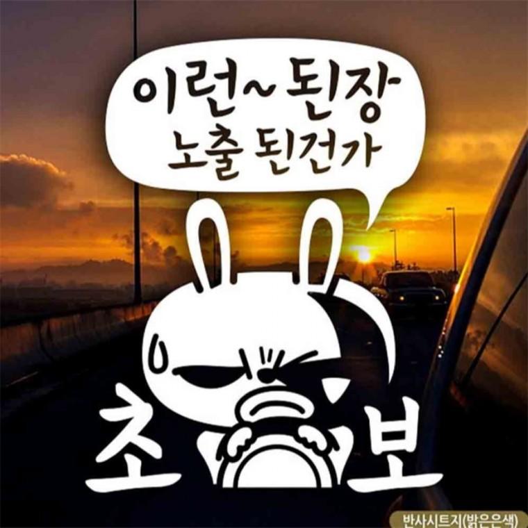 자동차스티커 이런된장노출된건가 초보 반사 B타입 안전운전스티커 고령운전자스티커 초보운전스티커