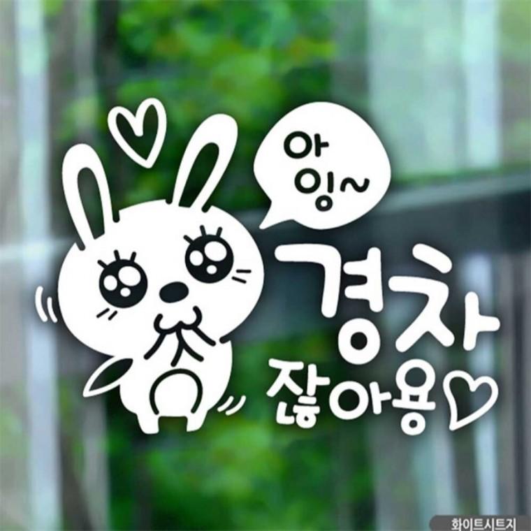 자동차스티커 아잉경차잖아요 애교토끼 화이트시트지 초보운전스티커 꾸미기데코스티커 임산부운전스티커