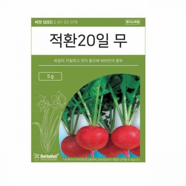 텃밭 채소 씨앗 무 무씨 채소씨앗