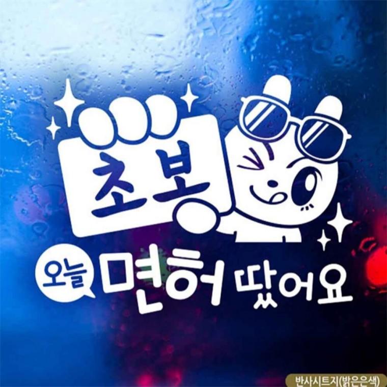 자동차스티커 초보 오늘면허땄어요 반사시트지 임산부운전스티커 부모님운전스티커 안전운전스티커
