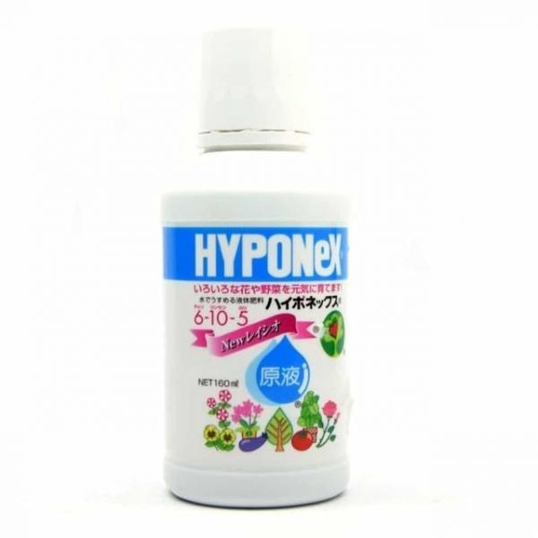 레이쇼 원액 160ml 화분영양제 잔디영양제