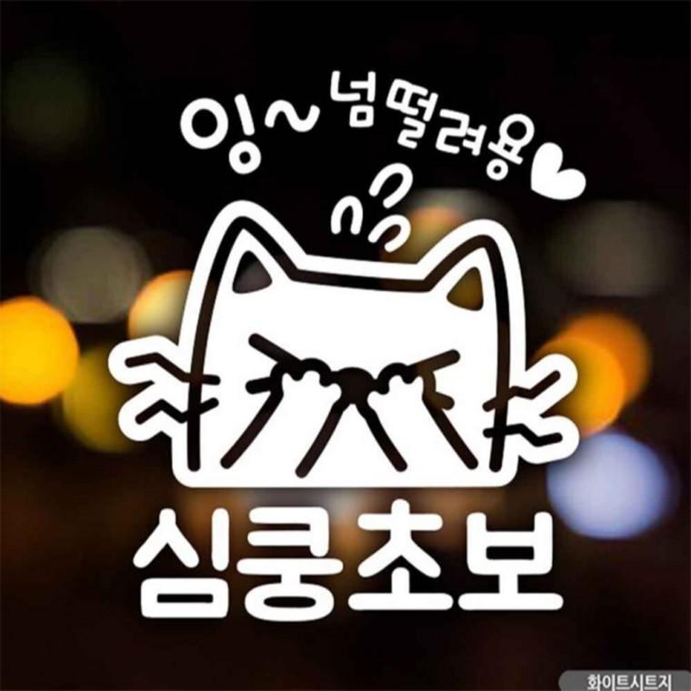 자동차스티커 잉넘떨려용 심쿵초보 초보운전 화이트 차량스티커 부모님운전스티커 임산부운전스티커