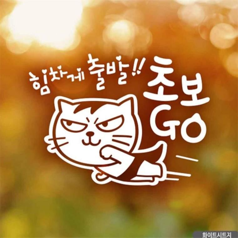 자동차스티커 힘차게출발 초보GO 화이트시트지 안전거리스티커 초보운전스티커 고령운전자스티커