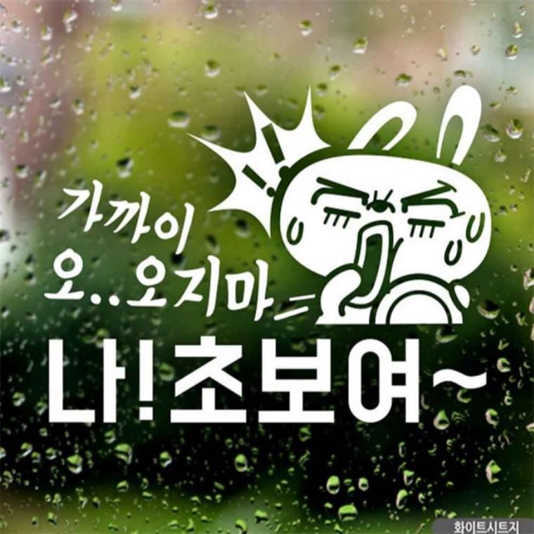 자동차스티커 가까이오지마 나초보여4탄 화이트시트지 안전거리스티커 안전운전스티커 부모님운전스티커