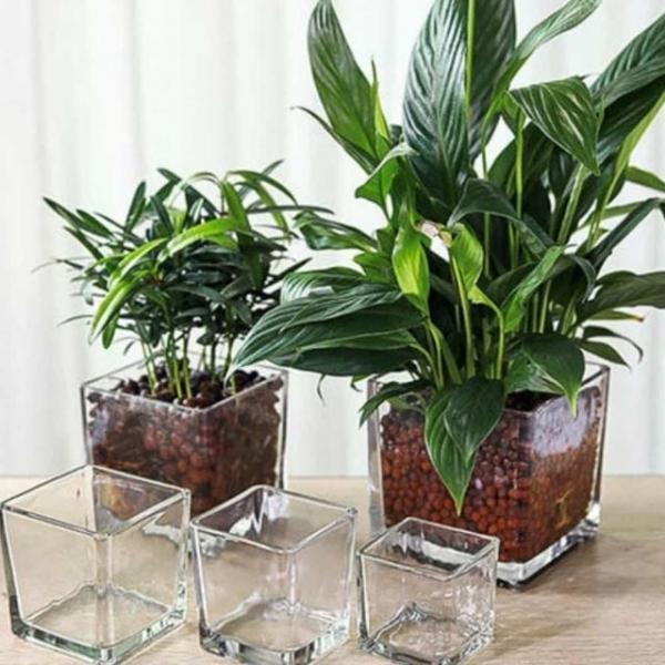 유리 화병 20x10x10cm 꽃꽂이화병 투명화병