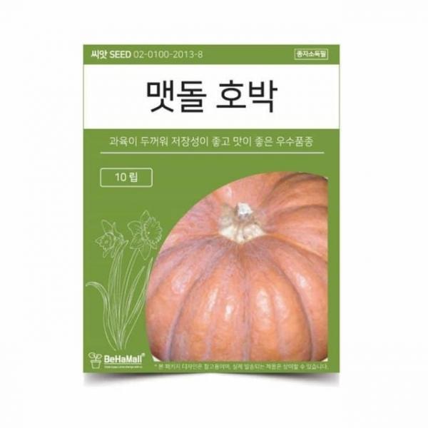 텃밭 채소 씨앗 호박 호박기르기 채소기르기