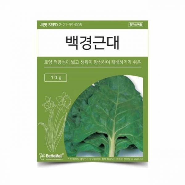 텃밭 채소 씨앗 근대 식물키우기 희귀씨앗
