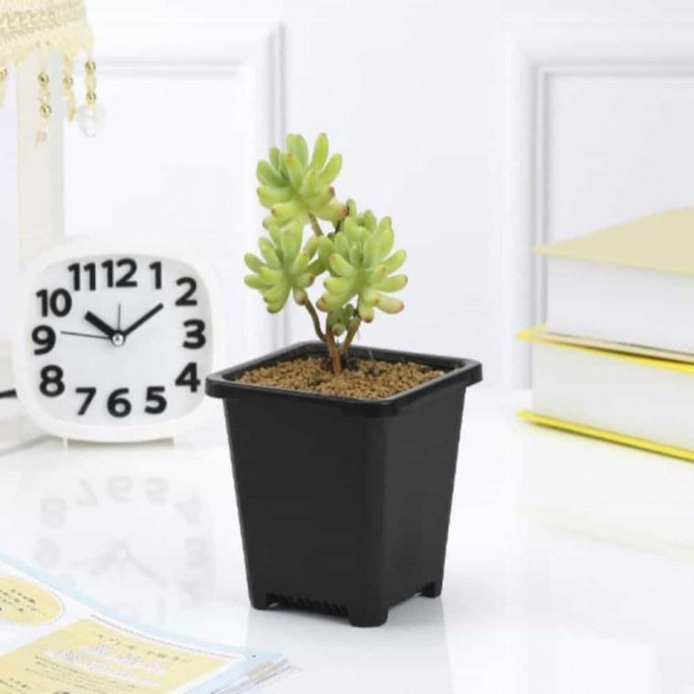 사각 화분 9x9cm