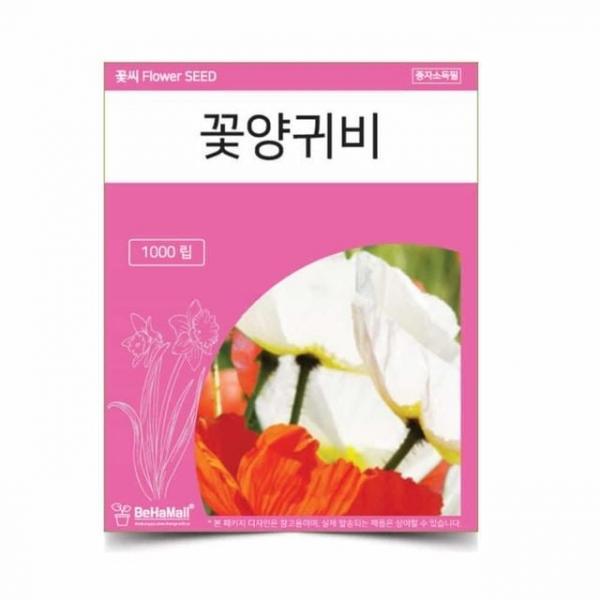 꽃씨 씨앗 꽃 양귀비 씨앗기르기 꽃키우기