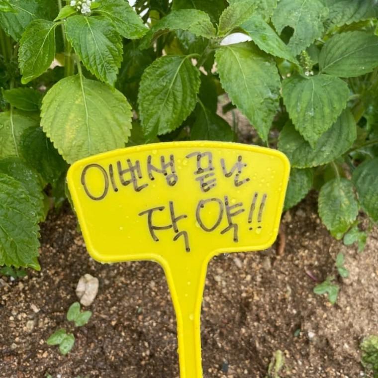 식물 팻말 27cm 원예용품 화분이름표