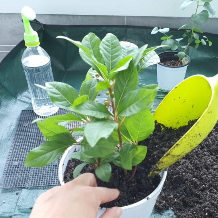 분갈이 매트 대형 자연놀이 모래놀이매트