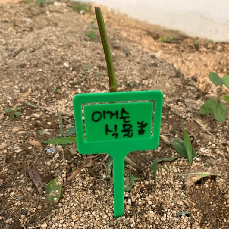 클립형 식물 라벨 5P 꽃팻말 꽃이름표