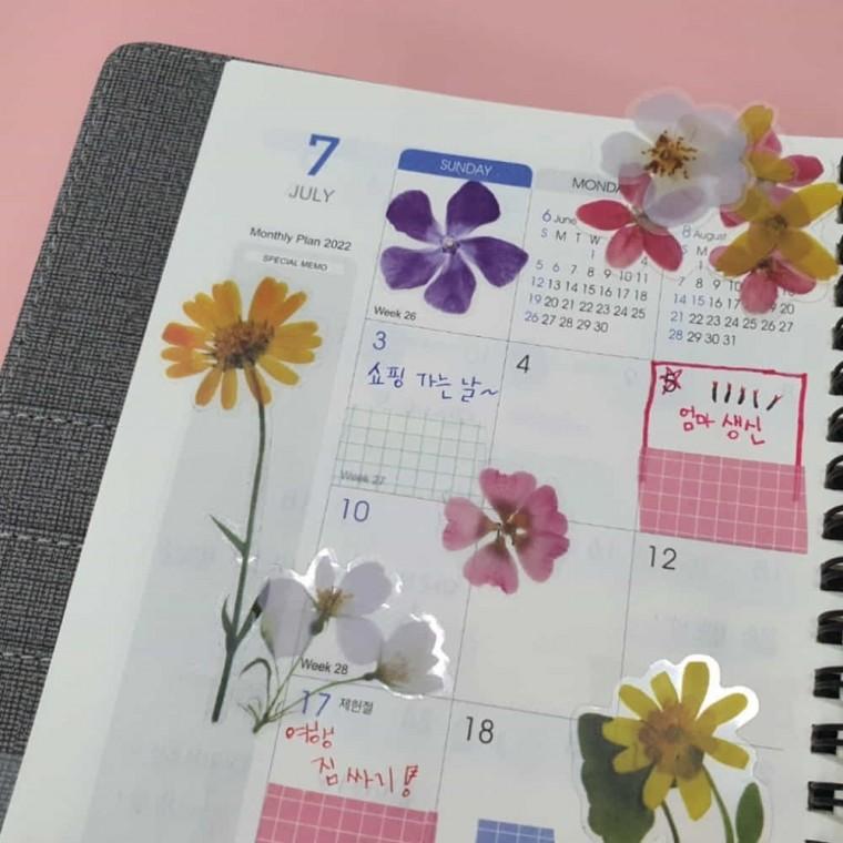 꽃 압화 스티커 화이트 꽃스티커 무늬스티커