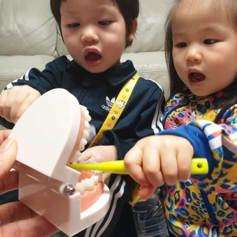 치아모형 치아모양 치과놀이