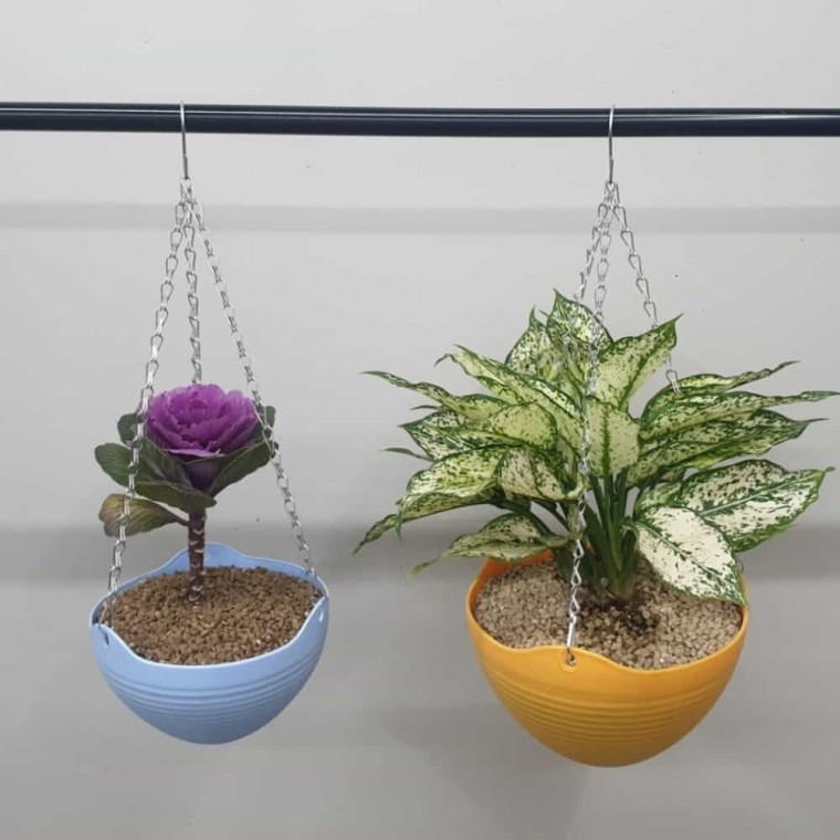 행잉화분 중형 사무실화분 플라스틱화분