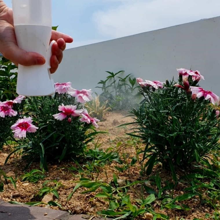 투명 분무기 300ml 화분분무기 미스트분무기