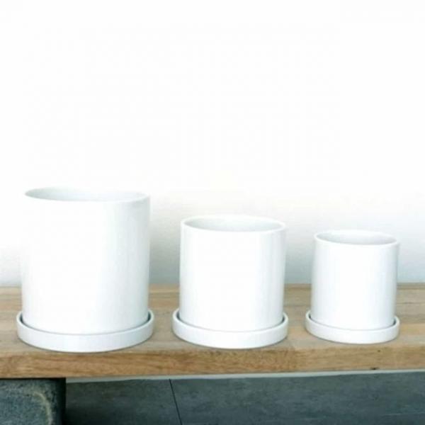 원통 13x13cm 흰색 봄꽃화분 미니화분