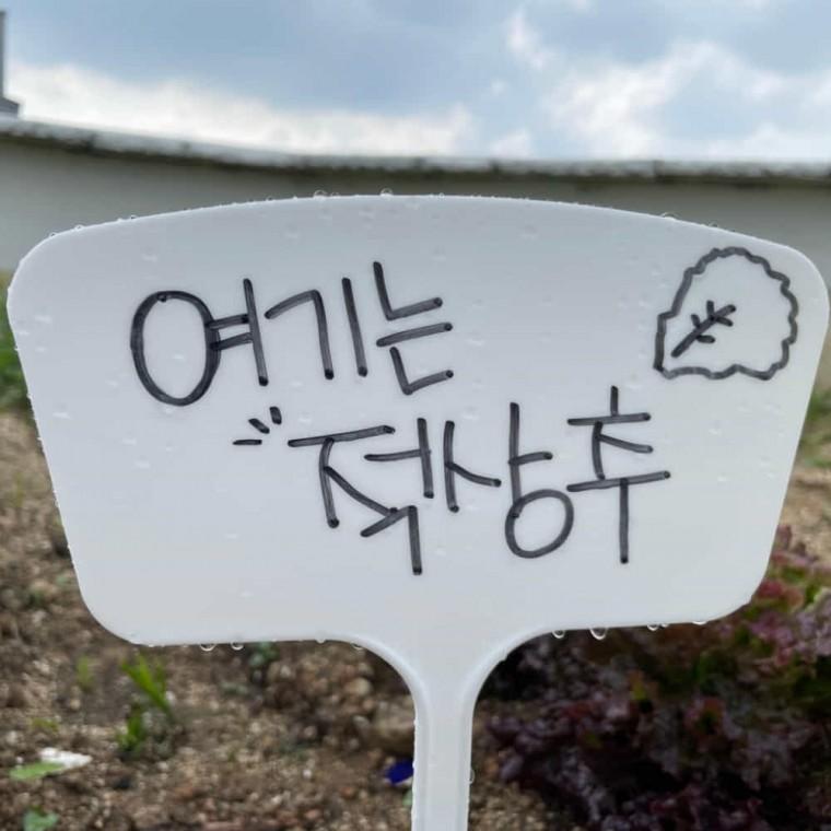 식물 팻말 47cm 표찰 수목표찰